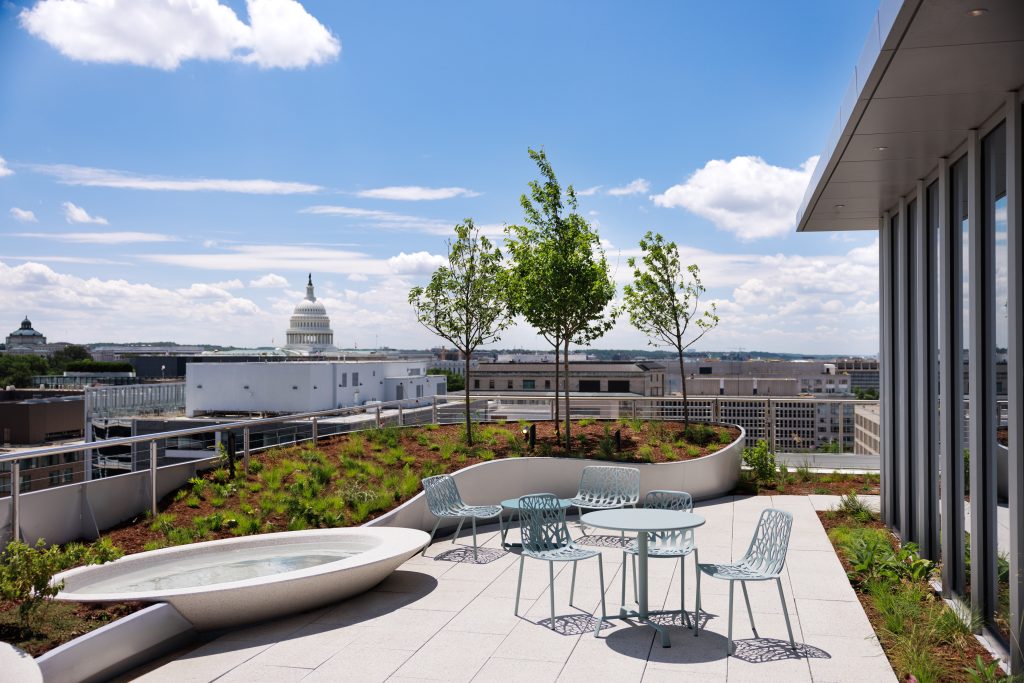 125 E rooftop with trees and view of US Capitol